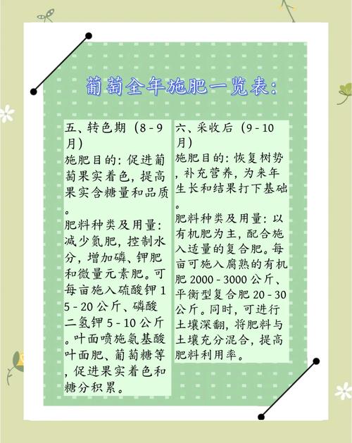 葡萄施肥全攻略:从萌芽到采收,教你浇对肥 越冬越夏:北方需防寒,南方需防涝