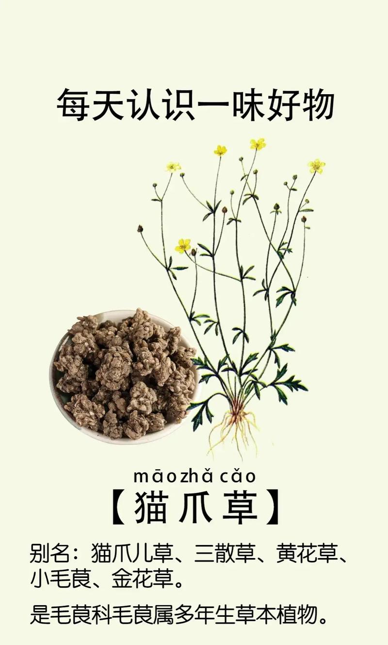 第二步：品种真实性核查——防止“李鬼”冒充