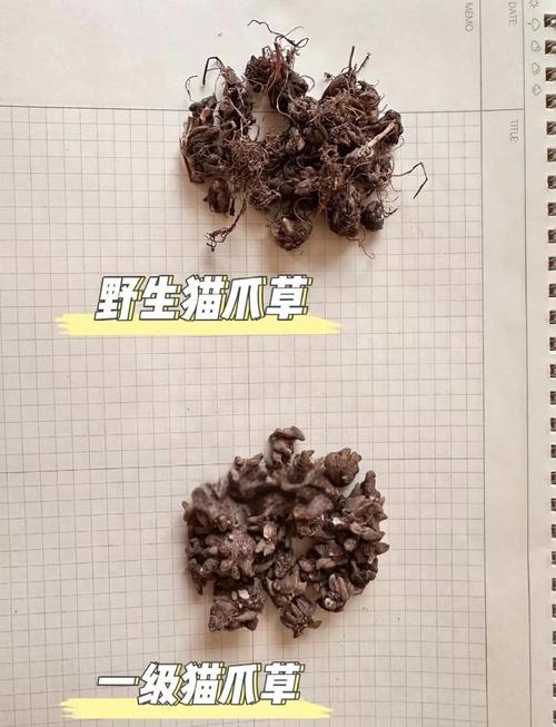第五步：售后补苗政策审核