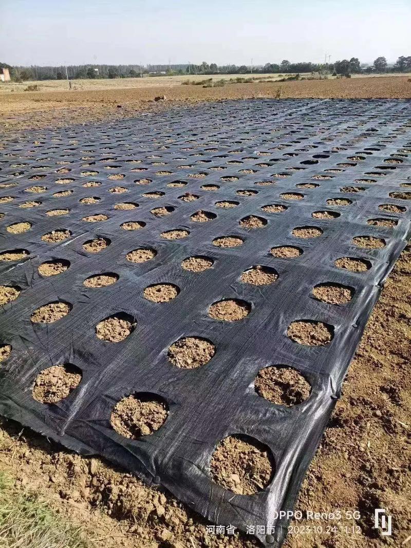 防草布哪里卖?先看渠道,再看规格 六、适合不同场景的选择思路