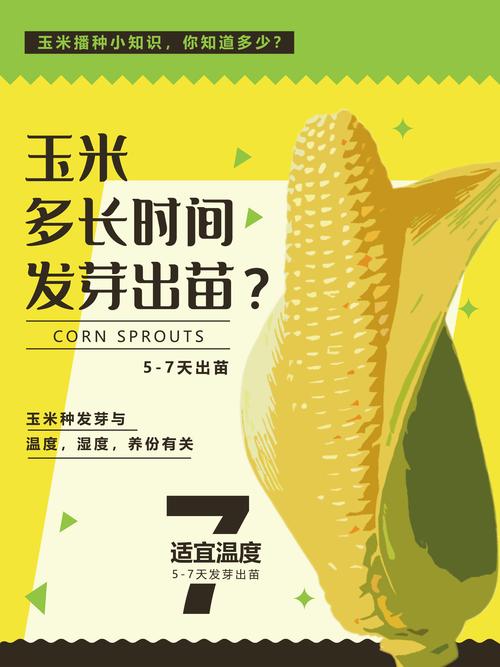 玉米出苗后多久能施肥?掌握这几个关键时间点,产量翻倍 玉米出苗后多久能施肥?掌握这几个关键时间点,产量翻倍