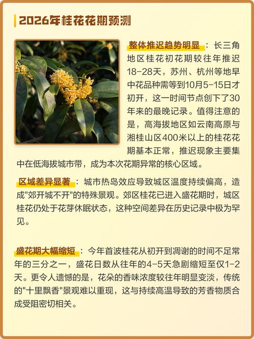 桂花一般多少钱一斤?2025年干桂花价格参考与影响因素分析 数量:家庭小包装与批发大包装单价差巨大