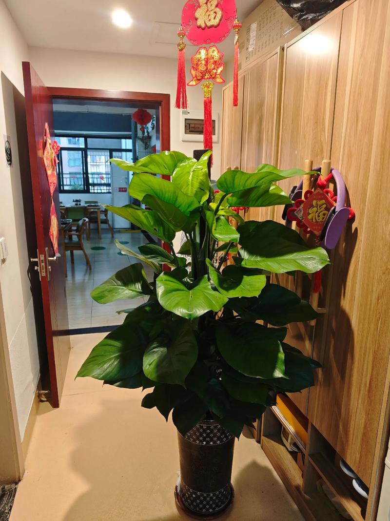 结语