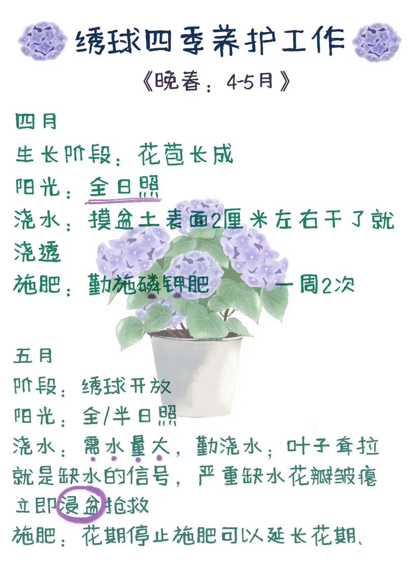 常见误区与纠正
