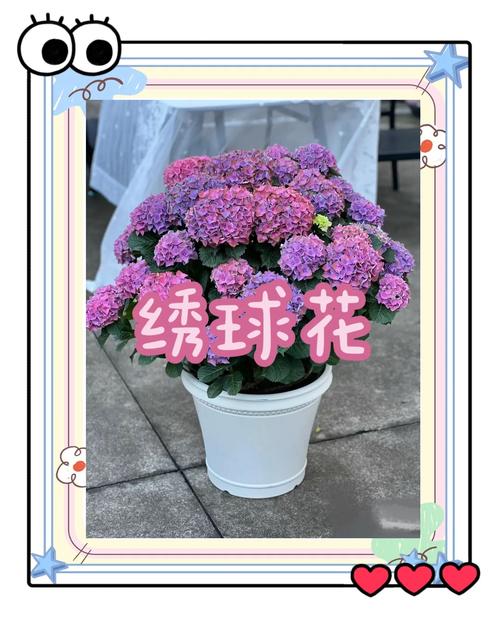 总结