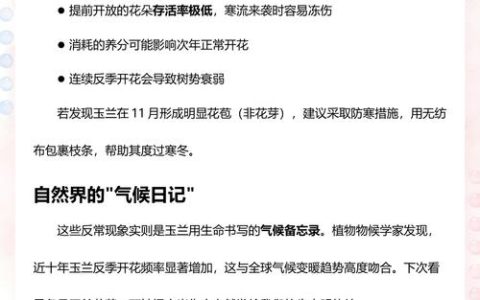 玉兰11月开花正常吗？核心原因与养护管理全解析