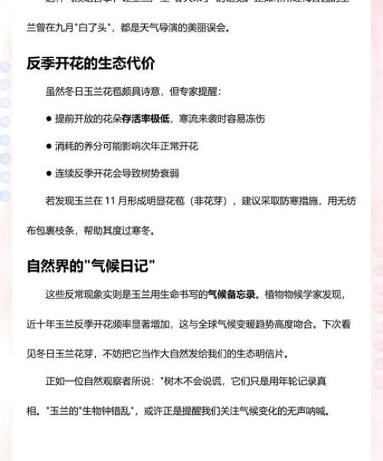 玉兰11月开花正常吗？核心原因与养护管理全解析