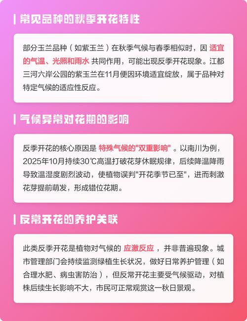 玉兰11月开花正常吗?核心原因与养护管理全解析 总结