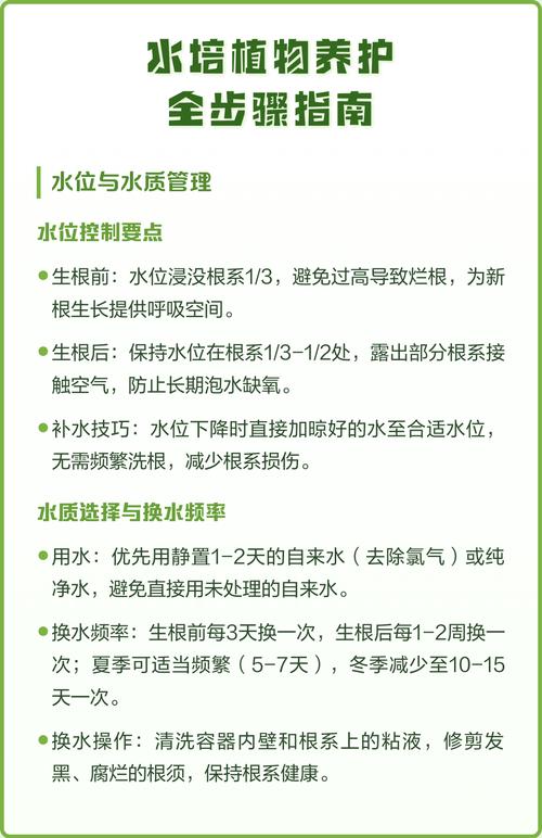 常见错误与正确做法