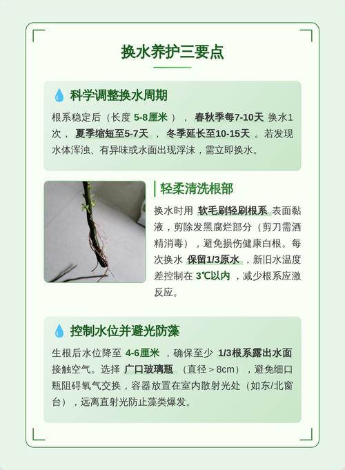 常见问题 (FAQ)