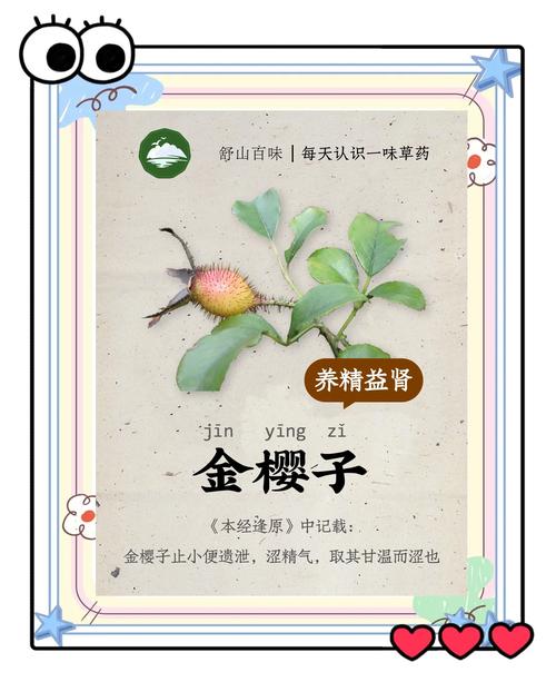 樱桃树是靠什么传播种子的?主要靠鸟类取食和人类引种 二、最主要传播途径:鸟类取食后排泄