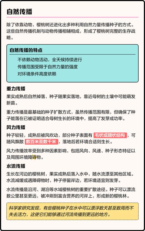 樱桃树是靠什么传播种子的?主要靠鸟类取食和人类引种 四、大规模跨区传播:人类引种栽培