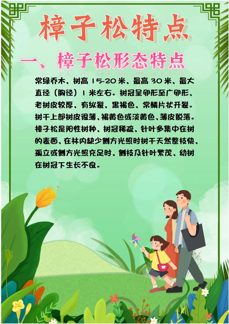 樟树木材的实用价值:从家具到园林的全面解析 使用樟木的几点建议