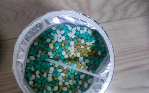 栀子花养护全攻略：从浇水到施肥，阳台盆栽也能轻松爆花