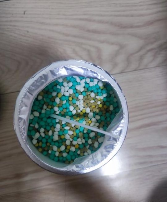 栀子花养护全攻略：从浇水到施肥，阳台盆栽也能轻松爆花