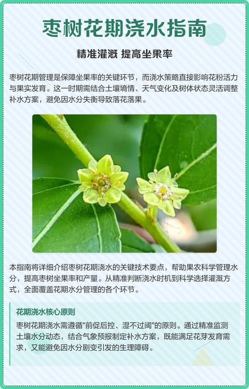 光照与温度管理
