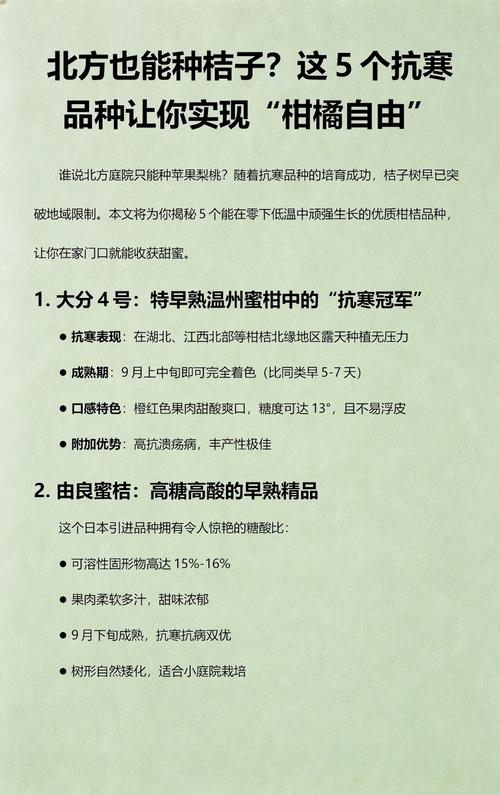 北方能种桔子吗?先说结论 四、栽植深度