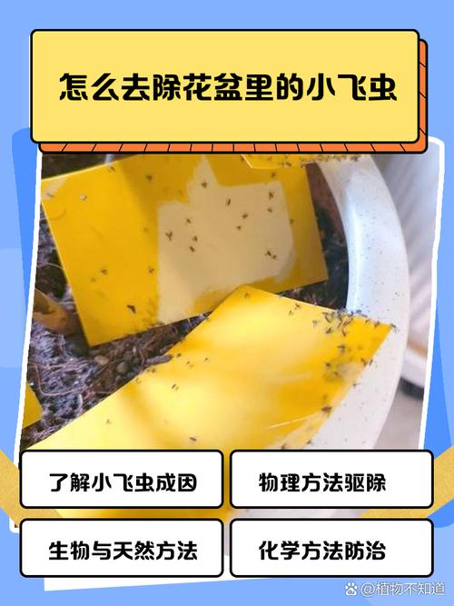 杜鹃花长小飞虫怎么办?一文讲透原因与防治方法 总结