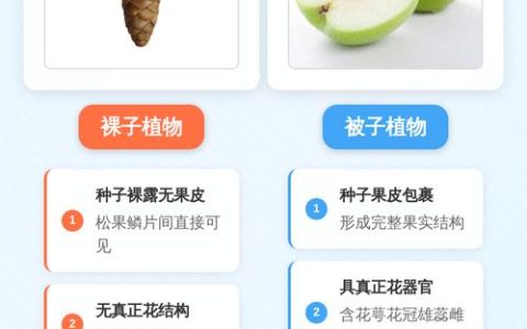 如何判断被子植物与裸子植物？园艺爱好者必知的分类技巧
