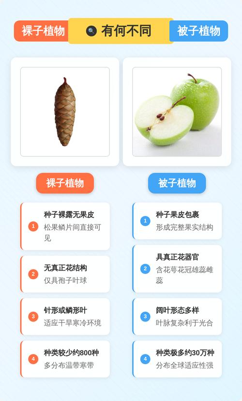 如何判断被子植物与裸子植物?园艺爱好者必知的分类技巧 1. 最核心的区别:种子是否被包裹