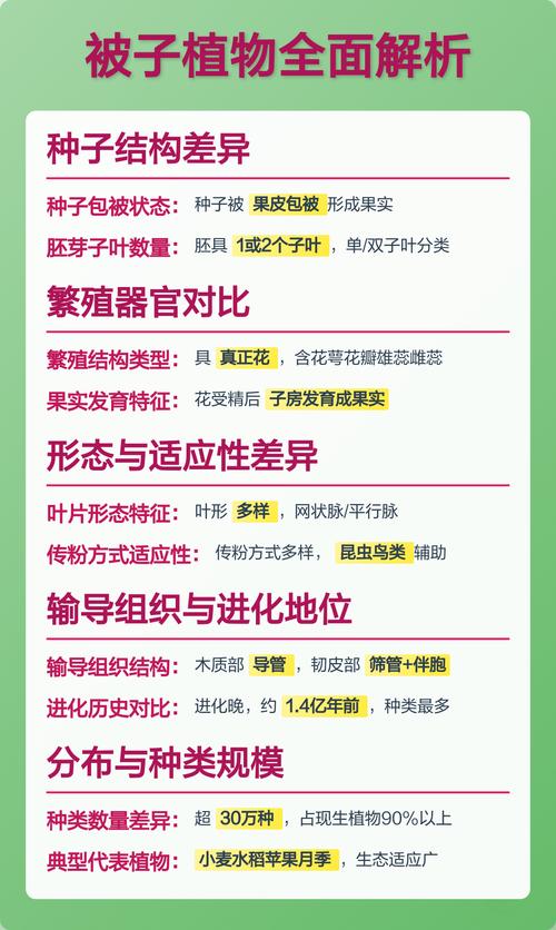 如何判断被子植物与裸子植物?园艺爱好者必知的分类技巧 3. 叶片形态与解剖结构