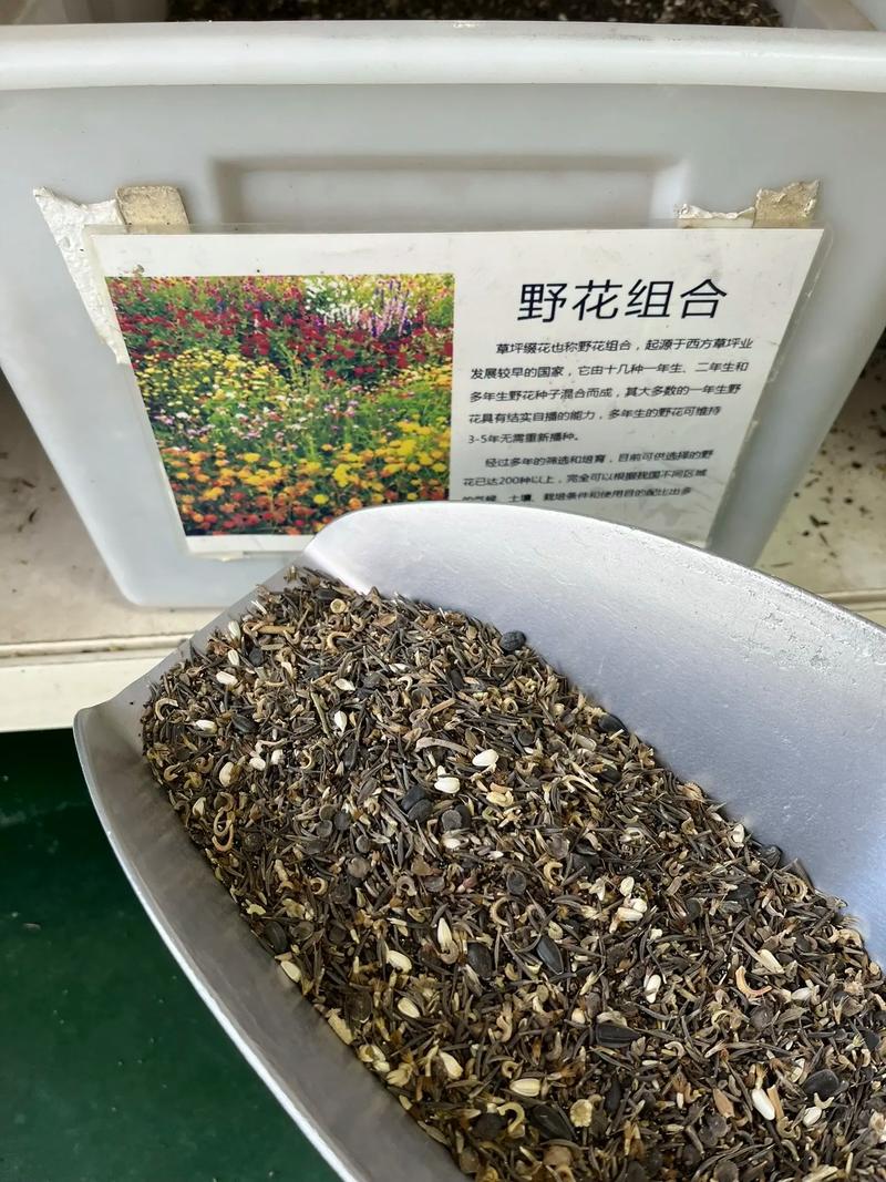 花卉种子批发在哪里?专业采购渠道选择全指南 第三步:质量标准与包装运输的“刻度化”要求