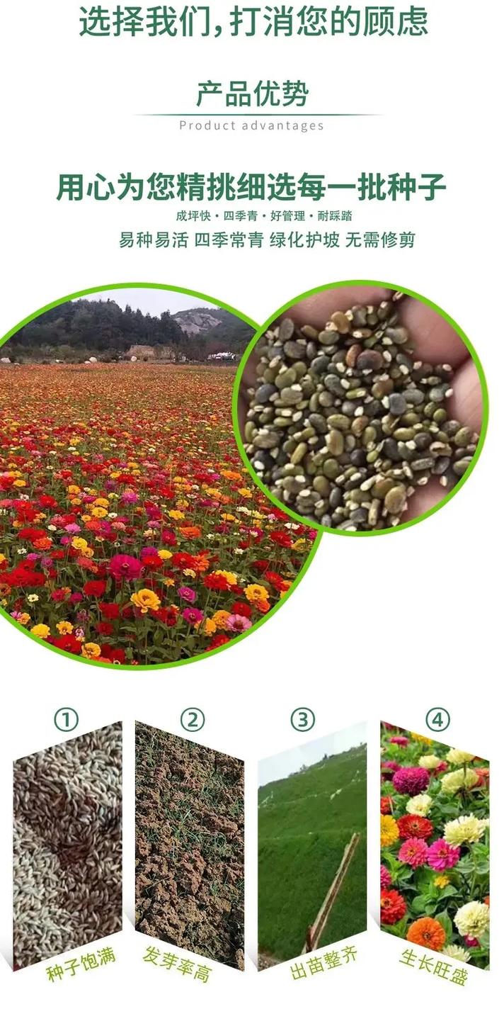 花卉种子批发在哪里?专业采购渠道选择全指南 第四步:检疫合规——跨省调运的“通行证”