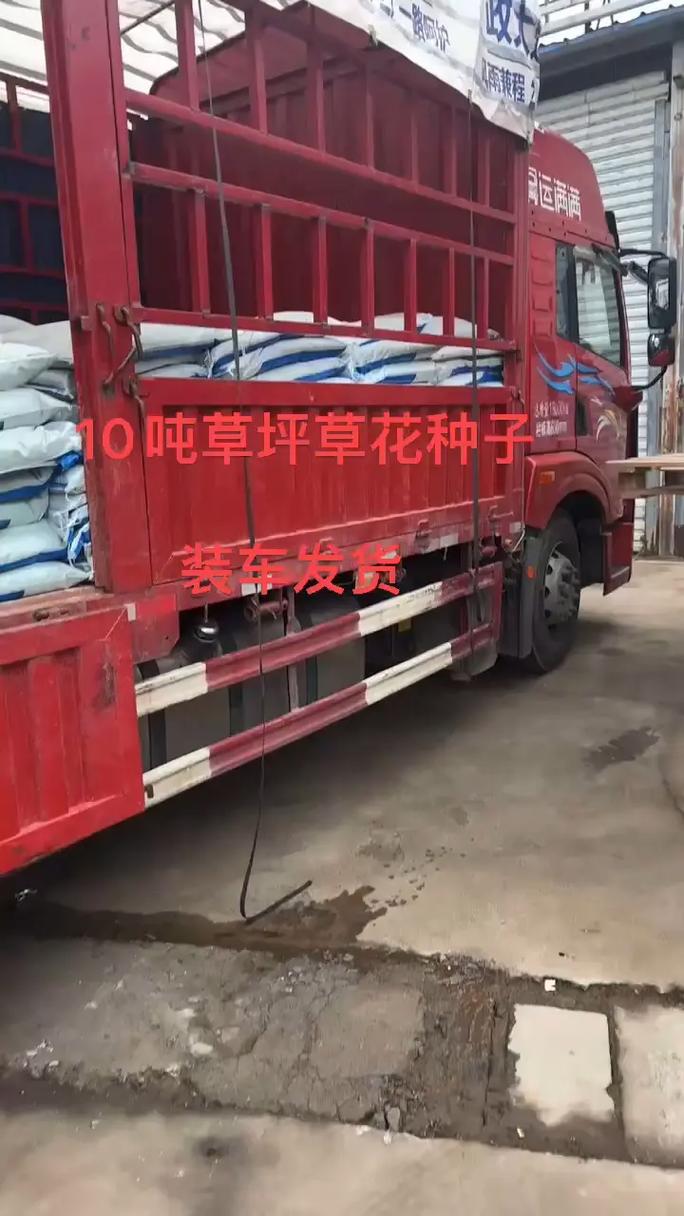花卉种子批发在哪里?专业采购渠道选择全指南 常见陷阱与规避策略