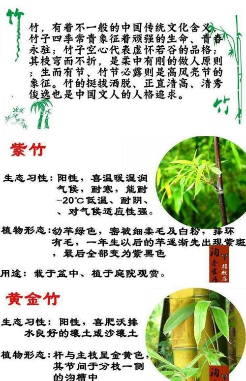 六、缓苗管理