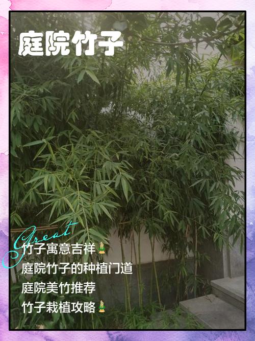 结语