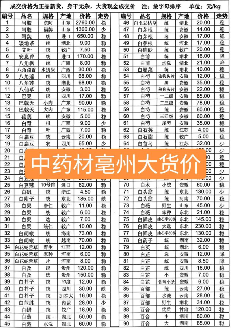 咨询指南