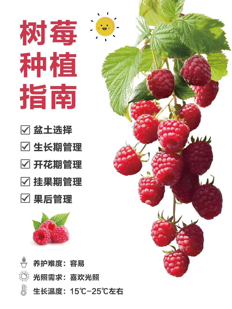 一、适宜时间