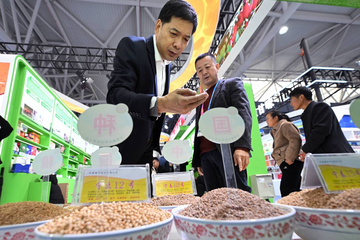 季节性价格波动