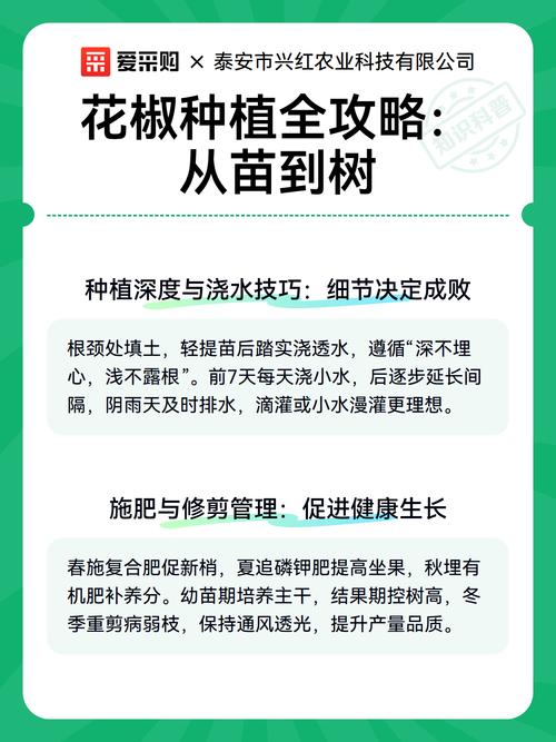 花椒苗种植全攻略:从选时到成活的7个关键步骤 七、成活注意事项