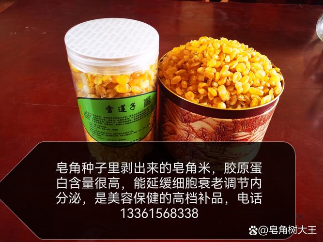 皂角米有什么功效?揭秘“雪莲子”的食用、药用与安全指南 皂角米有什么功效?揭秘“雪莲子”的食用、药用与安全指南
