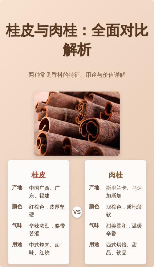 桂皮是什么树的叶子?——解开桂皮原料肉桂树的植物百科之谜 生长习性
