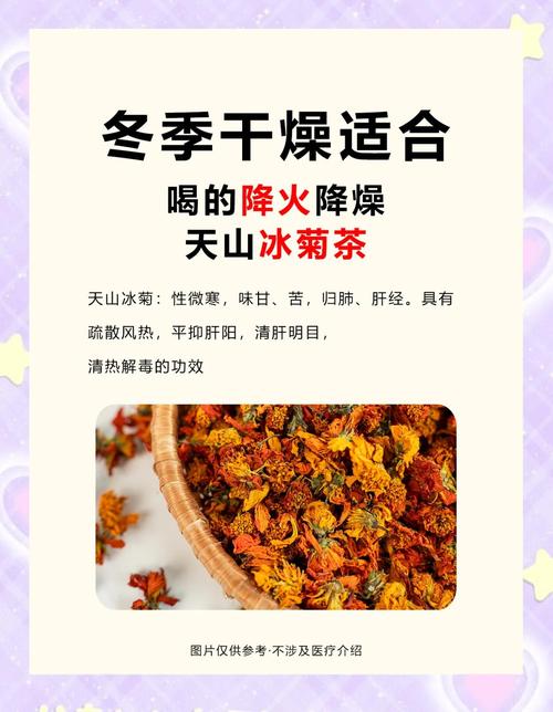 菊花:冬季观赏与泡茶两相宜的养护指南 盆栽还是地栽?三种判断标准