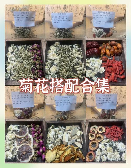 菊花:冬季观赏与泡茶两相宜的养护指南 FAQ(与正文一致)