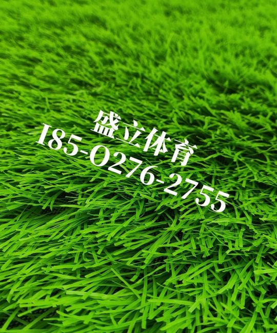 草皮价格多少钱一平方？2025年最新草皮价格参考与影响因素分析
