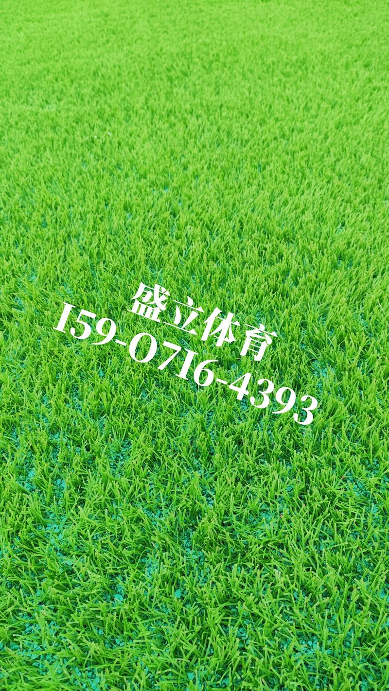 五大核心影响因素解析