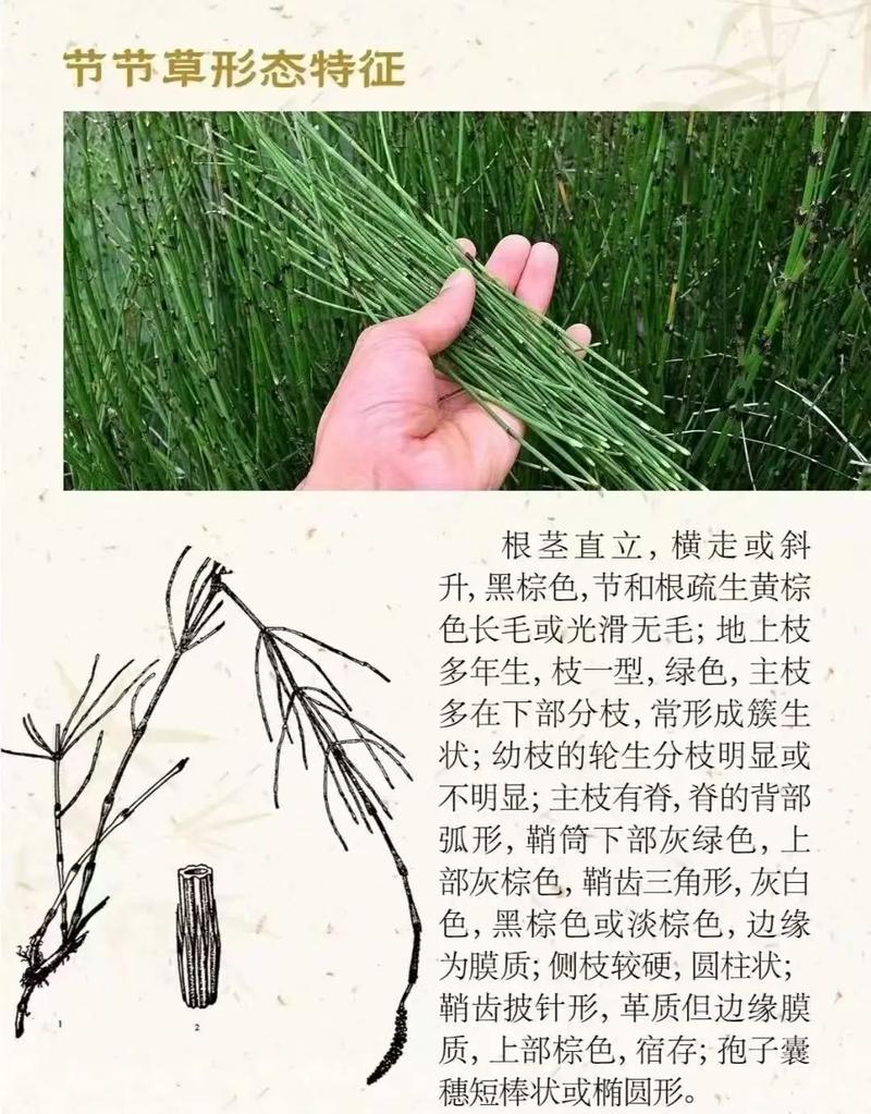 附：选购后的养护小贴士