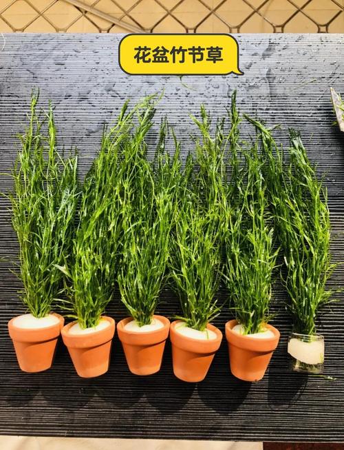 五、选季节：春秋最佳，夏冬需谨慎