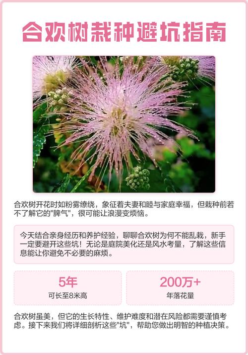 合欢树栽门前吉祥吗?庭院种植位置、移栽与养护全指南 FAQ