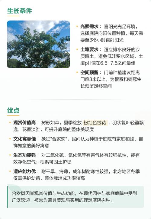 合欢树栽门前吉祥吗?庭院种植位置、移栽与养护全指南 总结