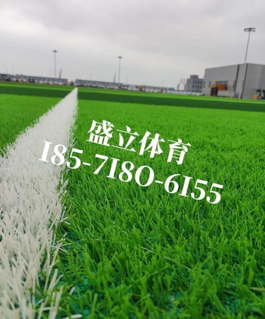 草坪种植每平米多少钱？先看价格快速参考