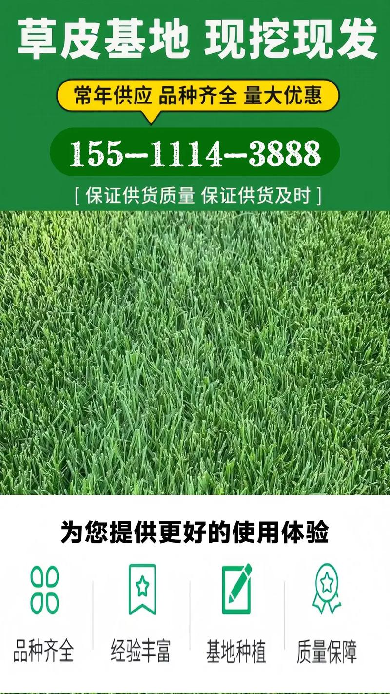草坪种植每平米多少钱?先看价格快速参考 七、草坪种植参考报价表