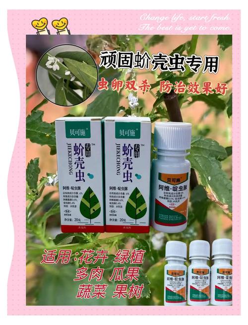 植物生虫不用慌,这些方法简单有效 总结