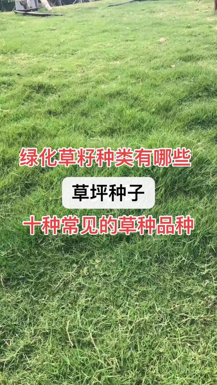 光照水分管理