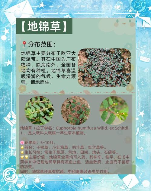 土壤适应与改良