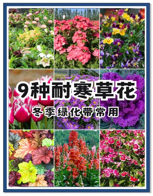 南北种植差异化建议